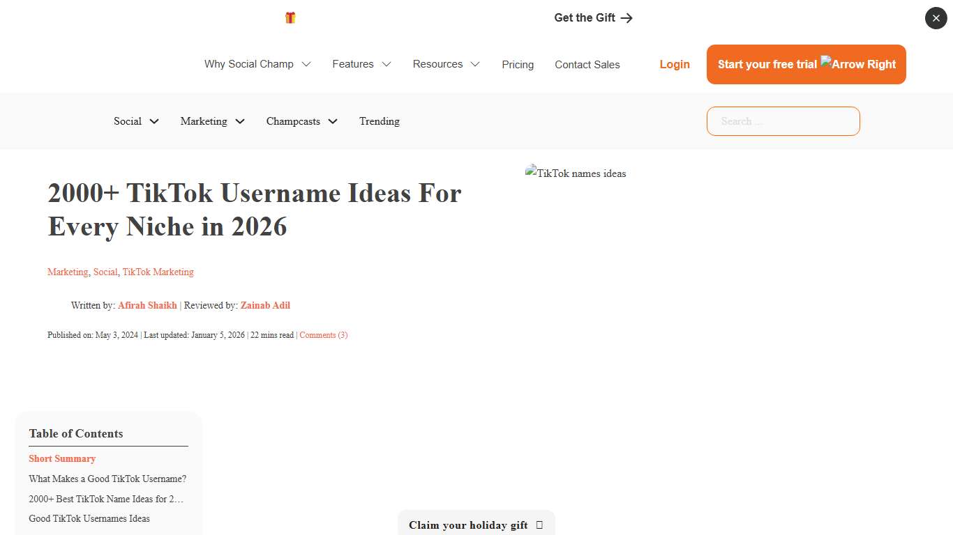 2000+ Best TikTok Username Ideas For Every Niche in 2026